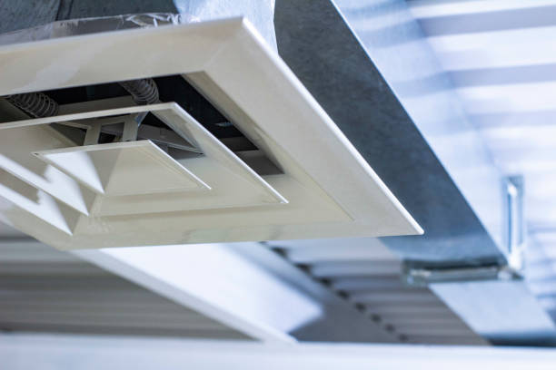Best Air Duct Sanitizing Services  in Marlin, TX