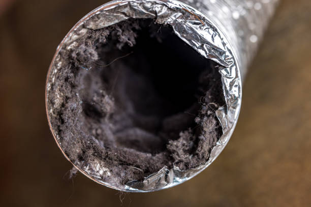 Best Home Air Vent Cleaning  in Marlin, TX