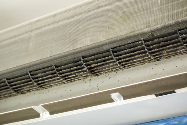 Best Affordable Air Duct Cleaning  in Marlin, TX